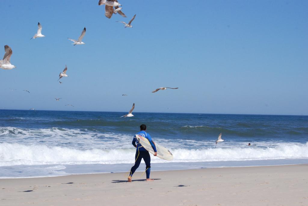 דירות אובאר Furadouro Surf Camp מראה חיצוני תמונה